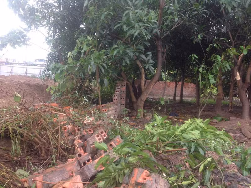 Cây cối, tường rào khu trang trại của bà Trần Mỹ Hạnh và 08 hộ dân thuộc phường Trần Phú đã bị công nhân của Công ty Gamuda Land Việt Nam phá hủy. Ảnh do người dân cung cấp.