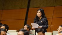 Đã đến lúc bỏ hoàn toàn bao cấp cho đại học ảnh 2 Đã đến lúc bỏ hoàn toàn bao cấp cho đại học ảnh 2