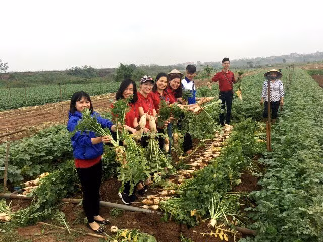 Nỗi gian truân của người nông dân và trách nhiệm của các Bộ trưởng ảnh 4