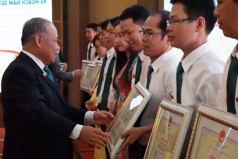 Đạm xanh Đạm Cà Mau mang lại năng suất cao, lợi nhuận nhiều ảnh 3
