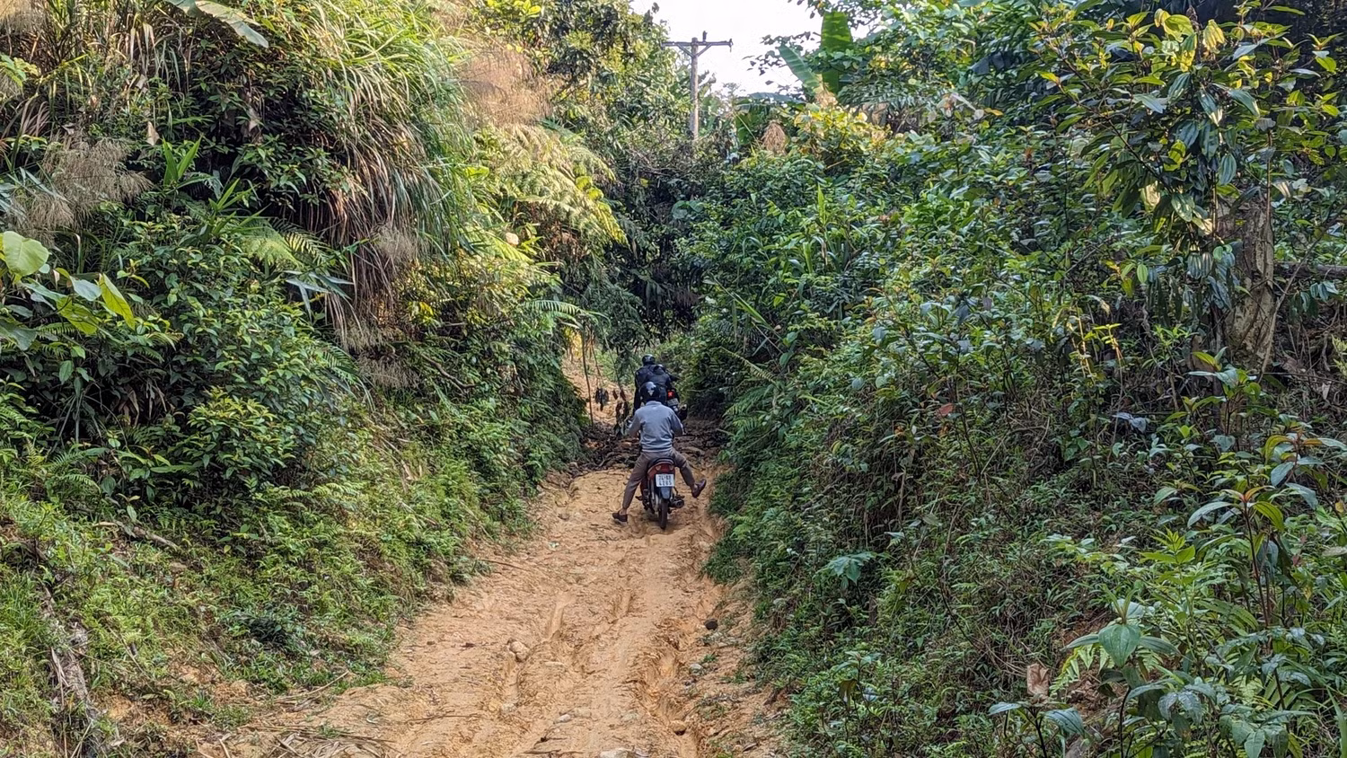 Đường vào hai thôn Cát, Trỉa hun hút qua những cánh rừng già. Ảnh: LC Đường vào hai thôn Cát, Trỉa hun hút qua những cánh rừng già. Ảnh: LC