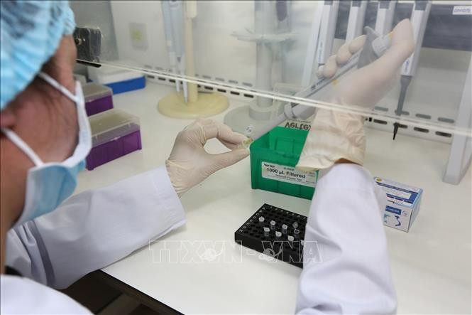 Cho phép đặt hàng cung cấp dịch vụ xét nghiệm SARS-CoV-2. Ảnh minh họa: TTXVN