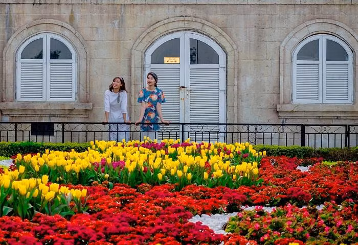 Vườn hoa tulip Bà Nà.