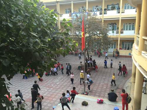 Một góc sân của Trường tiểu học Thành Công B. Ảnh: Phan Thiên Một góc sân của Trường tiểu học Thành Công B. Ảnh: Phan Thiên