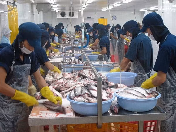 Xuất khẩu thủy sản là một trong những thế mạnh của Việt Nam. ảnh: TTXVN. Xuất khẩu thủy sản là một trong những thế mạnh của Việt Nam. ảnh: TTXVN.