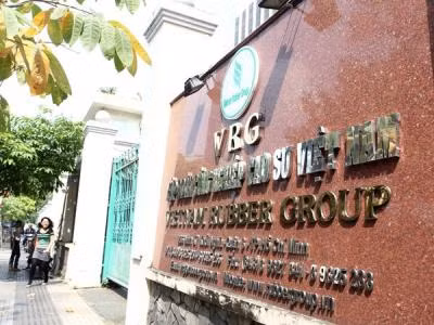 Kiểm tra kết quả xử lý sau thanh tra Tập đoàn Công nghiệp Cao su Việt Nam. ảnh: Báo Đầu tư. Kiểm tra kết quả xử lý sau thanh tra Tập đoàn Công nghiệp Cao su Việt Nam. ảnh: Báo Đầu tư.