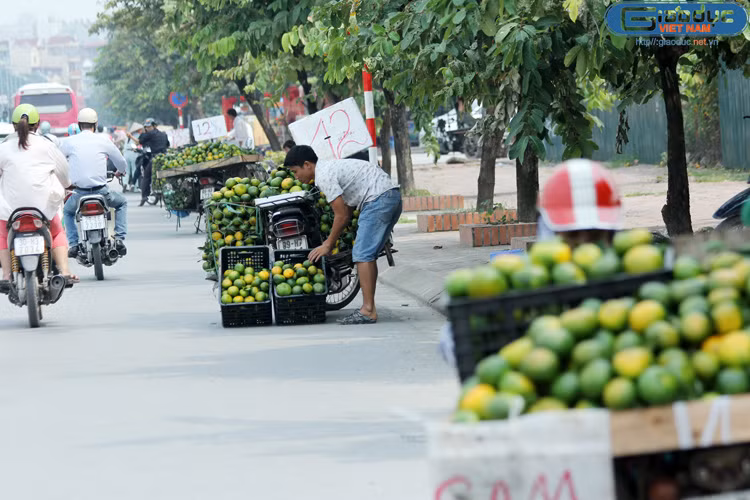 Chùm ảnh: Một đoạn đường tràn ngập cam Trung Quốc giá rẻ ở Hà Nội