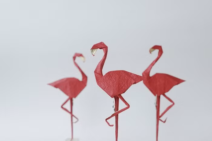 Tác phẩm Flamingo (Hồng hạc). Tác giả: Nguyễn Linh Sơn. Tác phẩm Flamingo (Hồng hạc). Tác giả: Nguyễn Linh Sơn.