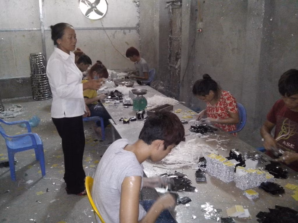 Bỏ bục giảng, thầy giáo về cấy lúa, nuôi rươi thu tiền tỷ mỗi năm ảnh 3