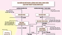 Sơ đồ hệ thống giáo dục quốc gia do Hội Khuyến học Việt Nam, Hiệp hội Các trường Đại học, Cao đẳng Việt Nam cùng Hiệp hội Vì giáo dục cho mọi người kiến nghị (Ảnh: tuoitre.vn)