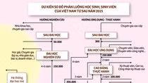 Sơ đồ hệ thống giáo dục quốc gia do Hội Khuyến học Việt Nam, Hiệp hội Các trường Đại học, Cao đẳng Việt Nam cùng Hiệp hội Vì giáo dục cho mọi người kiến nghị (Ảnh: tuoitre.vn)