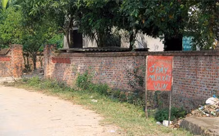 "Ở đây mua xắt vụn"
