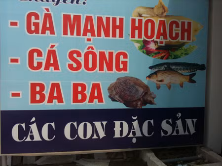 Miễn bình luận