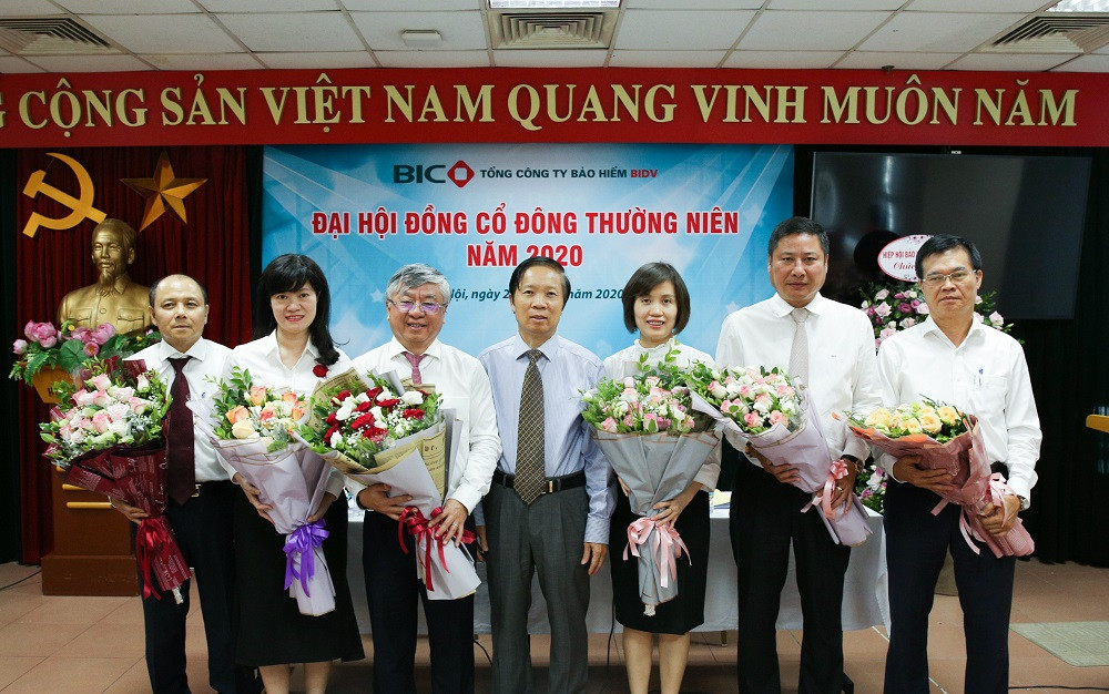 Hội đồng Quản trị BIC