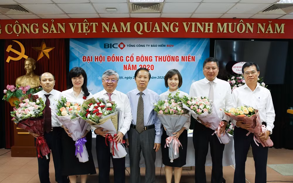 Hội đồng Quản trị BIC