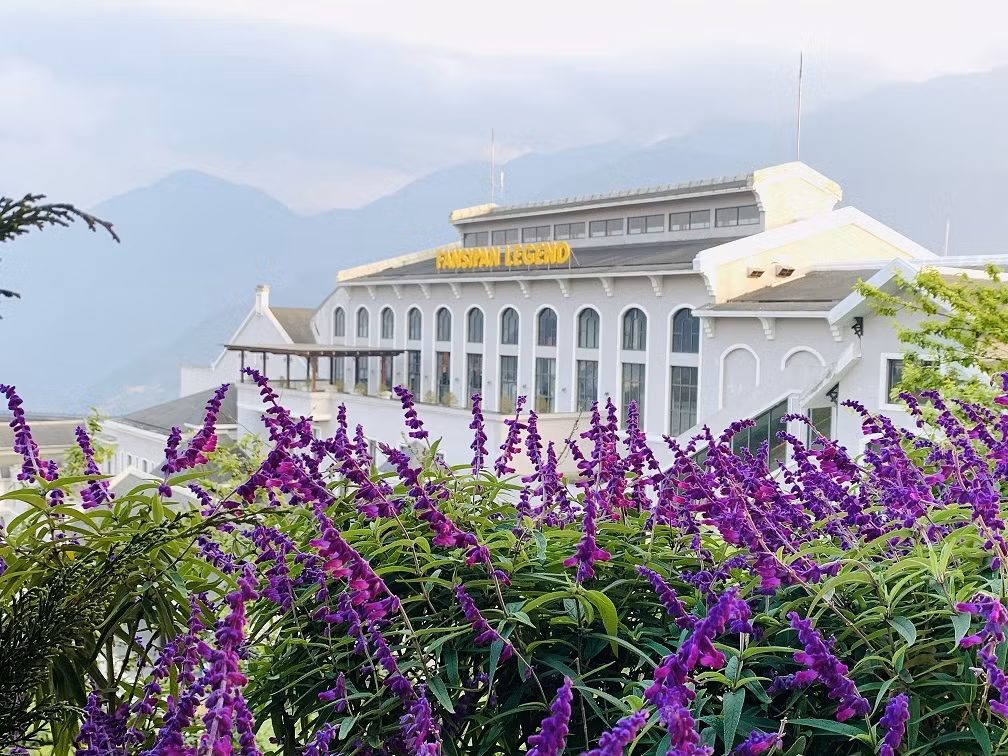 Khu du lịch Sun World Fansipan Legend đang giảm 60% giá vé cáp treo cho người dân Tây Bắc và từ ngày 15/5 sẽ giảm 33% giá vé cáp treo cho du khách toàn quốc. Khu du lịch Sun World Fansipan Legend đang giảm 60% giá vé cáp treo cho người dân Tây Bắc và từ ngày 15/5 sẽ giảm 33% giá vé cáp treo cho du khách toàn quốc.