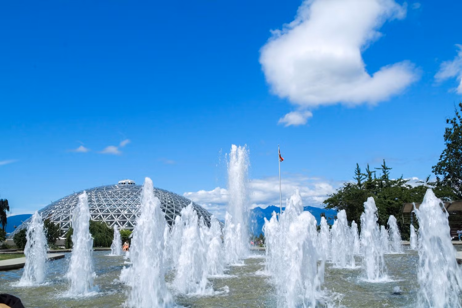 Canada thu hút sinh viên quốc tế ảnh 3