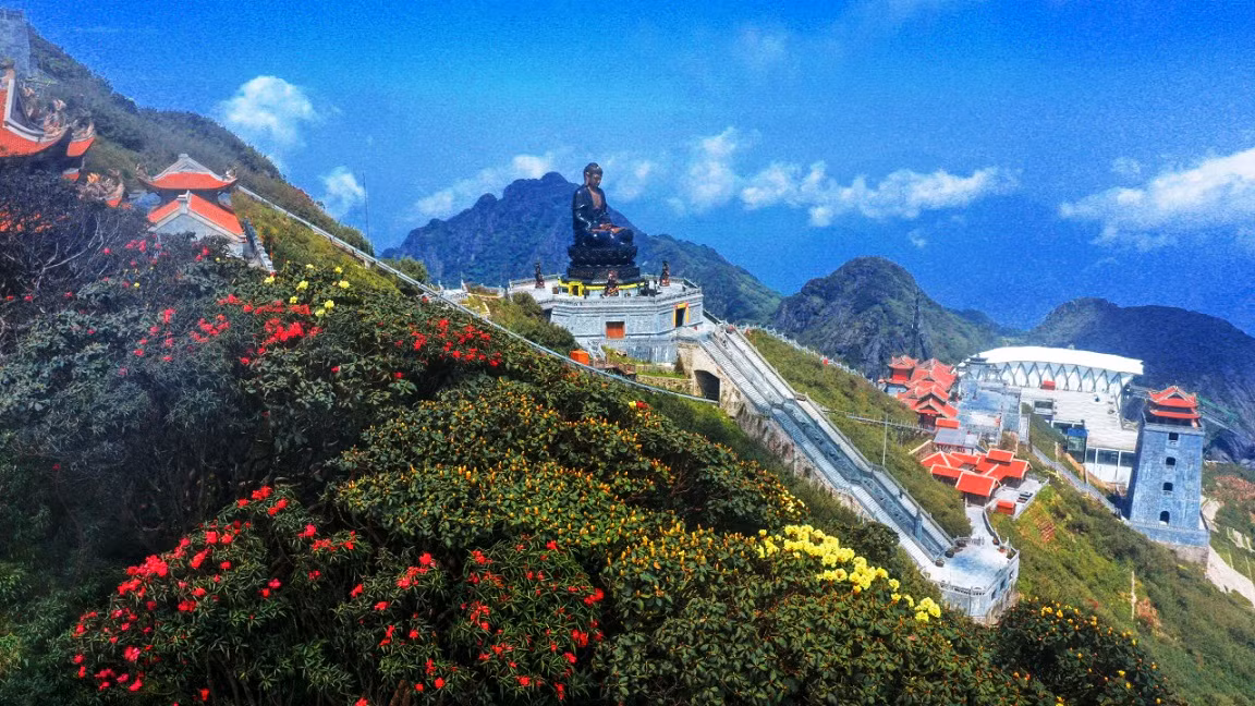 Năm nay, hoa đỗ quyên nở rất đẹp trên dãy Hoàng Liên Sơn.