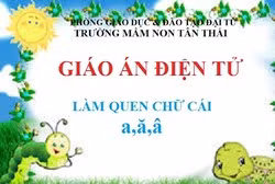 Giáo án của người thầy có quan trọng hay không? ảnh 3