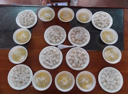 Nhiều gia đình cúng Rằm bằng bánh trôi, bánh chay Nhiều gia đình cúng Rằm bằng bánh trôi, bánh chay