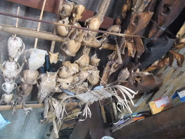 Hàng trăm bộ xương của những con thú ông săn được xâu thành từng chuỗi giăng kín cả trần nhà (Ảnh: Thanh Ba) Hàng trăm bộ xương của những con thú ông săn được xâu thành từng chuỗi giăng kín cả trần nhà (Ảnh: Thanh Ba)