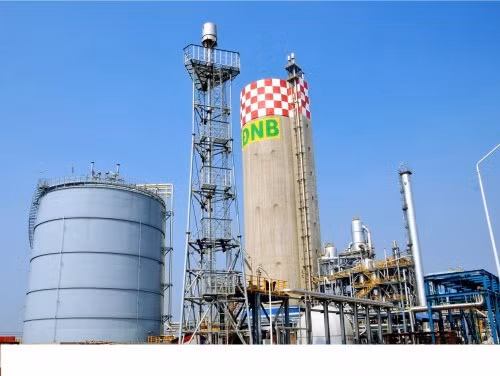 Những dự án tai tiếng thời ông Đinh La Thăng làm chủ tịch Tập đoàn Dầu Khí ảnh 6