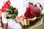 (Ảnh minh họa: giadinhmoi.vn).
