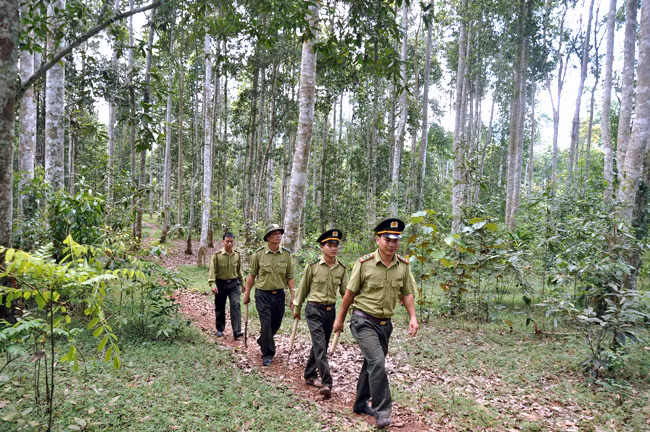 Ảnh minh họa: baochinhphu.vn