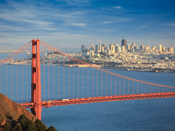 San Francisco UHNW: 4.230 người San Francisco trở thành trung tâm tài chính lớn ở phía tây nước Mỹ từ năm 1800. Các công ty lớn nhất của thành phố này là Hewlett-Packard, Wells Fargo, McKesson và Facebook. Riêng đợt phát hành cổ phiếu lần đầu ra công chúng của Facebook (IPO) có thể tạo ra tới 900 triệu phú và tỷ phú mới. Những đại gia nổi tiếng ở đây bao gồm đồng sáng lập Google là Sergey Brin và Larry Page, giám đốc tài chính của Google George Roberts.