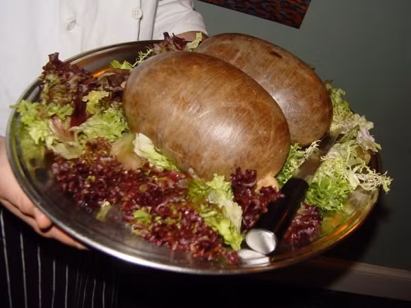 Haggis (Scottland) Haggis là một món ăn có chứa nội tạng của cừu (tim, gan, phổi) băm nhỏ với hành tây, bột yến mạch, mỡ ở thận cừu, gia vị, muối, trộn với nhau và theo truyền thống, nhồi trong dạ dày của cừu rồi đem luộc trong vài giờ. Haggis (Scottland) Haggis là một món ăn có chứa nội tạng của cừu (tim, gan, phổi) băm nhỏ với hành tây, bột yến mạch, mỡ ở thận cừu, gia vị, muối, trộn với nhau và theo truyền thống, nhồi trong dạ dày của cừu rồi đem luộc trong vài giờ.