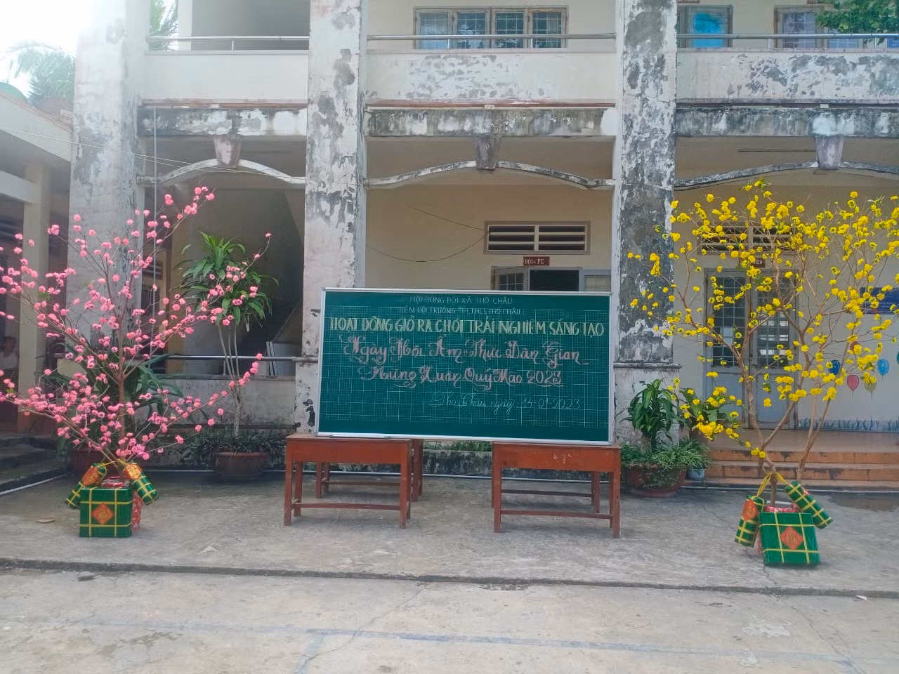 Cây đào và cây mai được chính thầy cô giáo và các em học sinh trang trí. (Ảnh: NTCC)