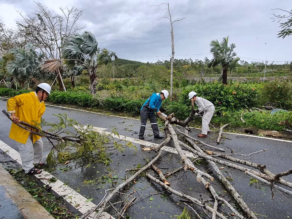 Cán bộ công nhân viên Công ty tiến hành thu gom, dọn dẹp sau bão số 9. Cán bộ công nhân viên Công ty tiến hành thu gom, dọn dẹp sau bão số 9.