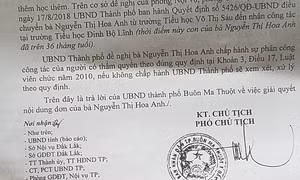 Vì sao cô giáo Hoa Anh phải quỳ dâng đơn lên lãnh đạo tỉnh? ảnh 5