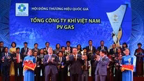 Tái cơ cấu, sắp xếp bộ máy tại Tập đoàn Dầu khí Việt Nam ảnh 2 Tái cơ cấu, sắp xếp bộ máy tại Tập đoàn Dầu khí Việt Nam ảnh 2