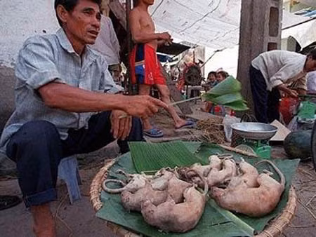Tuy nhiên nhiều quốc gia phương Tây lại cho rằng chuột là một con vật gặm nhấm đáng sợ, chui rúc ở những nơi bẩn thỉu và họ sẽ không dám ăn món ăn làm từ chúng.
