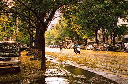 Hà Nội có mưa vào sáng sớm. (Ảnh minh họa)