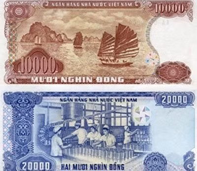 Loại tiền giấy cotton