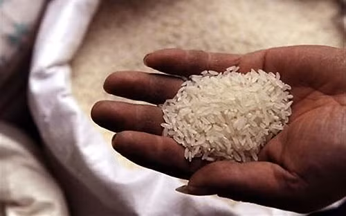 Đổ xô trồng sắn bán lá cho... thương lái "bí ẩn" ảnh 4 Trung Quốc ồ ạt nhập gạo Việt Nam