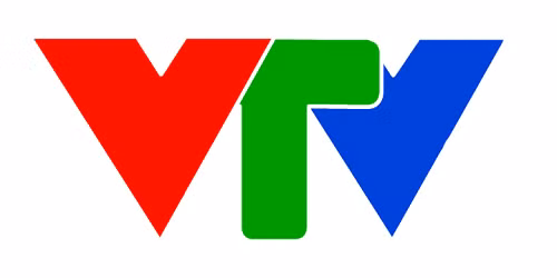 VTV sẽ là người phải lo ngại nhất nếu các đại gia viễn thông tham dự vào cuộc chơi.