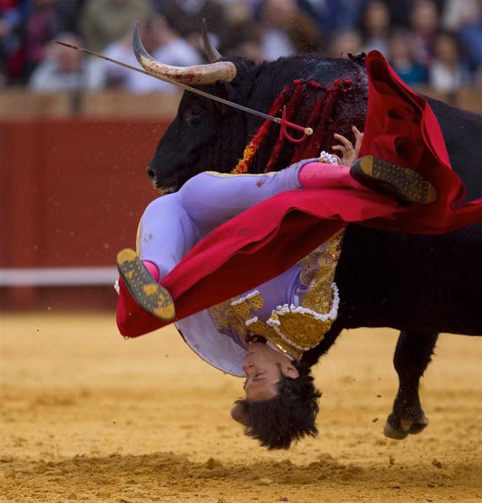 Đấu sĩ Tây Ban Nha Antonio Nazare bị ngã nhào trong trận đấu tại Seville, Tây Ban Nha hôm 18/4.