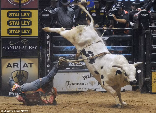Emilio Resende, 24 tuổi, ở Albuquerque, New Mexico, bị ngã trong một trận đấu tại giải Ty Murray Invitational hôm 25/3. Sống sót, Resende đã giành được vị trí thứ 19 trong số 35 đấu sĩ tham gia giải đấu năm nay với 1 điểm.