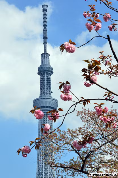 Tháp Tokyo Sky Tree nhìn từ xa