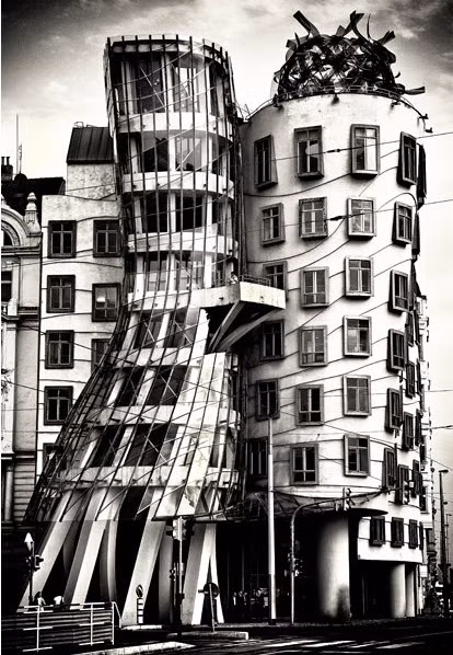 Patrice Carre, Pháp