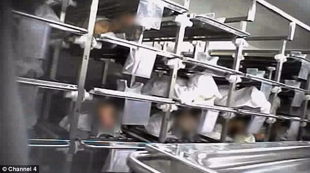 Thi thể người đã khuất được lưu trữ trong các nhà kho ở trạng thái trần truồng.