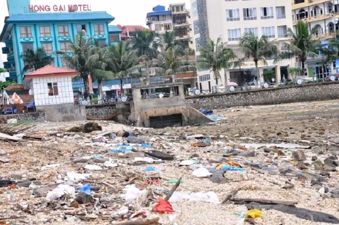 Ngày trước, bãi tắm Bãi Cháy bị ô nhiễm không ai dám xuống tắm. Ngày trước, bãi tắm Bãi Cháy bị ô nhiễm không ai dám xuống tắm.