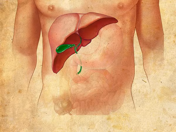 19 loại rau củ quả hỗ trợ ngăn ngừa các bệnh về gan