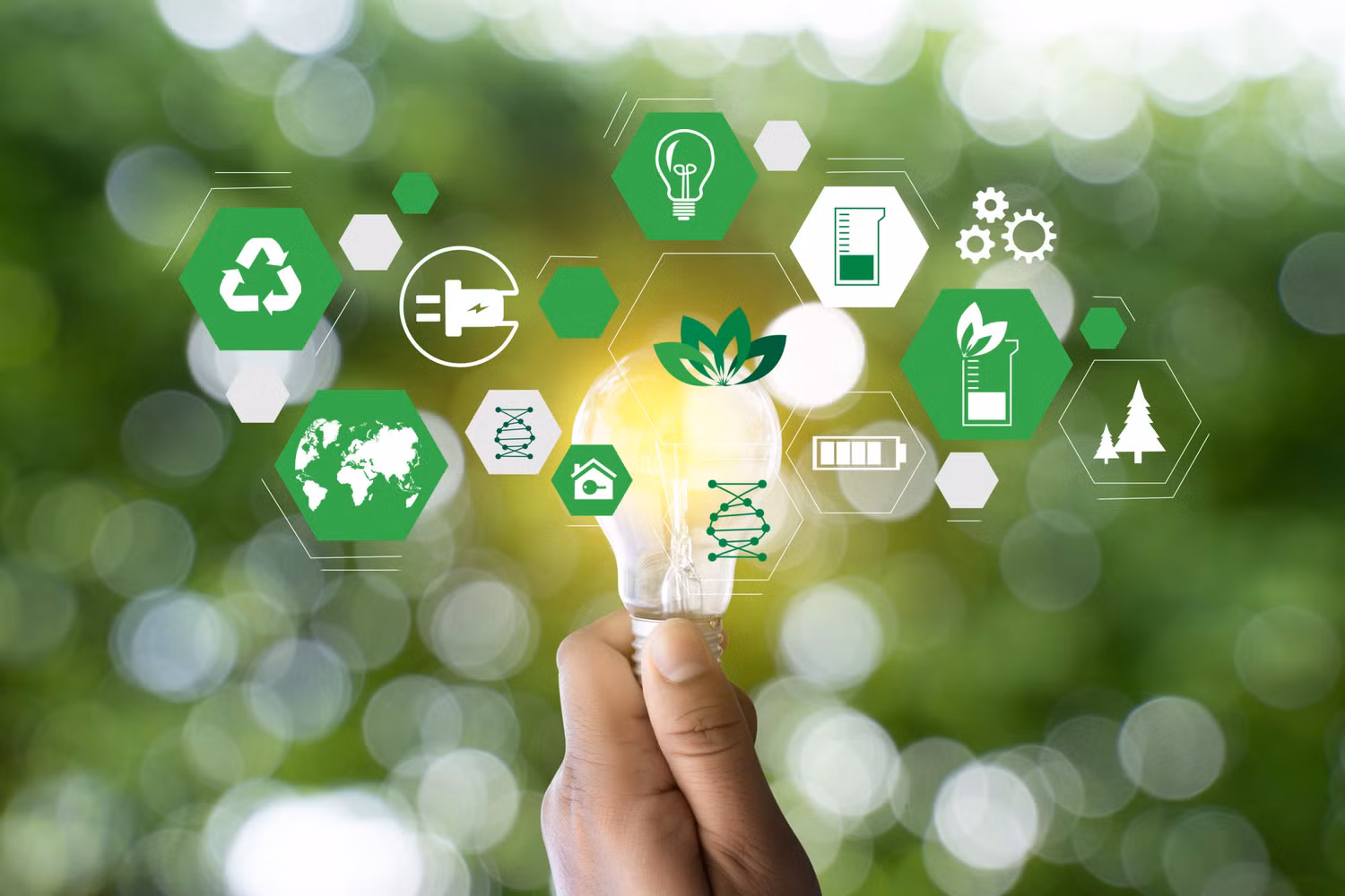 Khởi nghiệp bền vững. Nguồn ảnh: NuEnergy