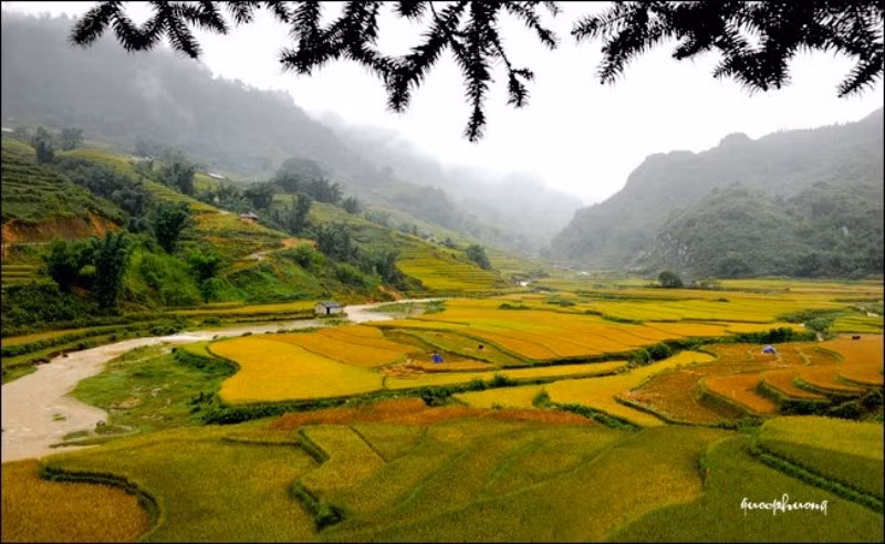 Ruộng bậc thang vừa là đất canh tác, vừa mang lại giá trị cảnh quan tuyệt đẹp. Những thửa ruộng bậc thang là một bức tranh kỳ vĩ, một vẻ đẹp hoang sơ trên nền không gian thiên nhiên hùng vĩ của núi đồi vùng cao và có giá trị phát triển du lịch bền vững.