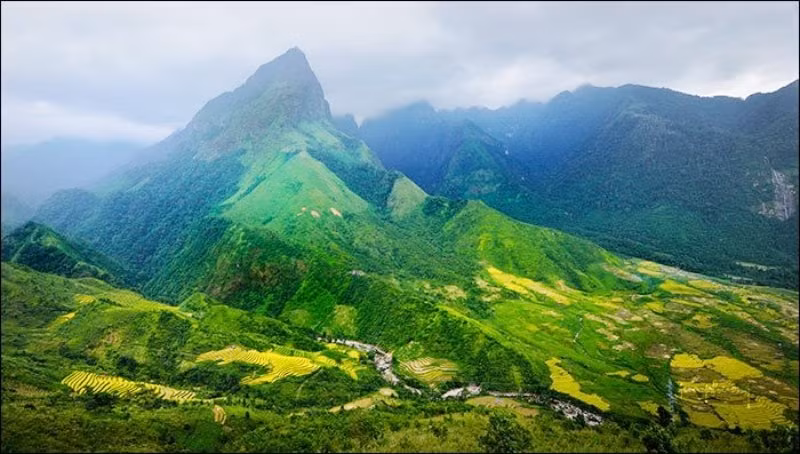Mấp mô trong sương sớm...