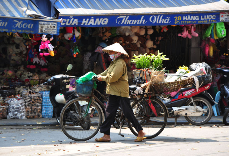 Những chiếc xe đạp chở đầy hoa vẫn lăn bánh trên phố.